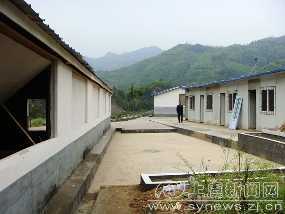 土鸡示范养殖场--上虞新闻网