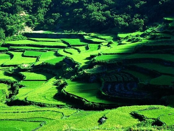 覆卮山景区--上虞新闻网