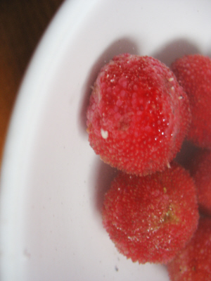 网传杨梅出虫 记者做实验其实并不可怕--上虞新